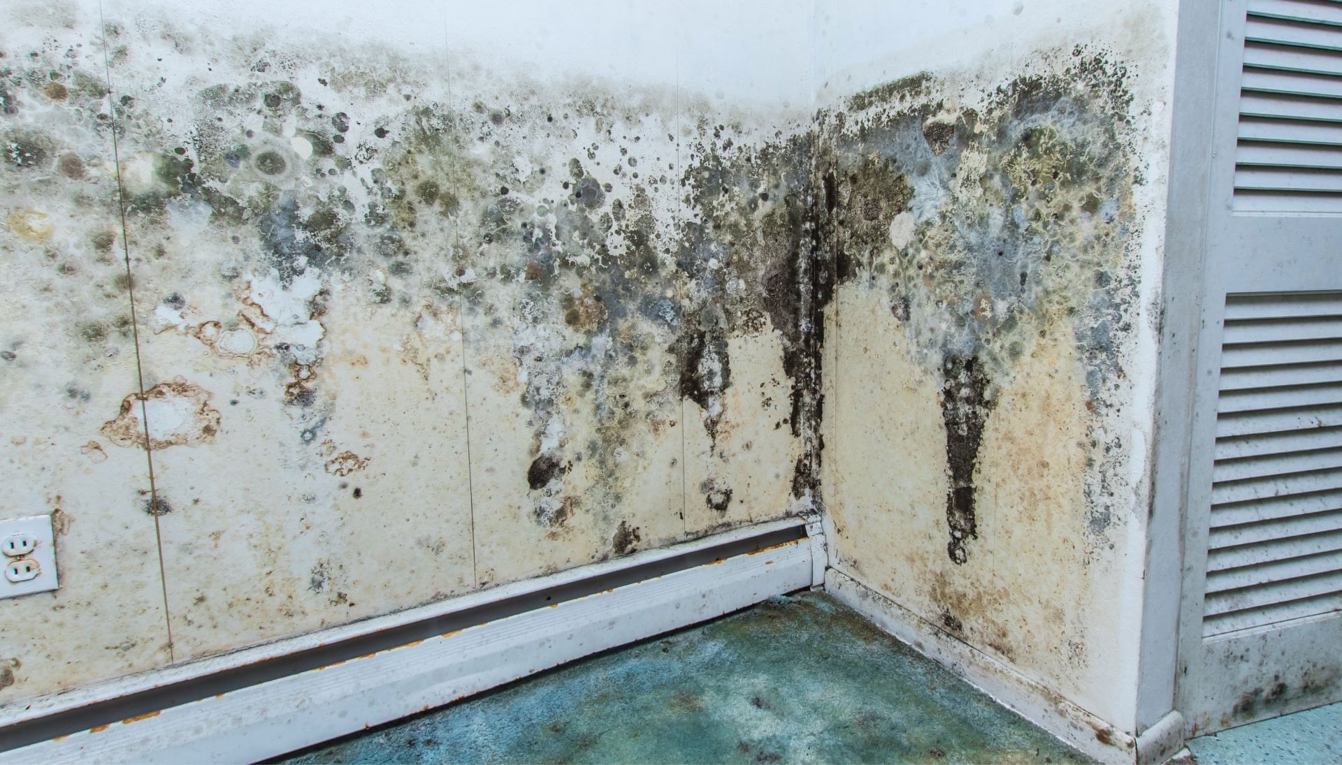 Mold Damage Odor Control Services in Waukesha