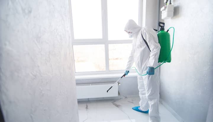 Mold Inspection Services in Waukesha